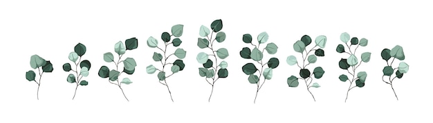 Vector set of twigs and branches