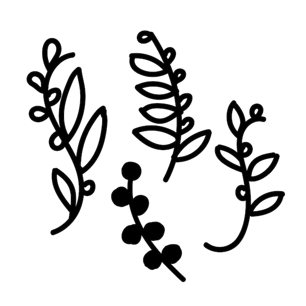 A set of twigs in the doodle style on a white isolated background