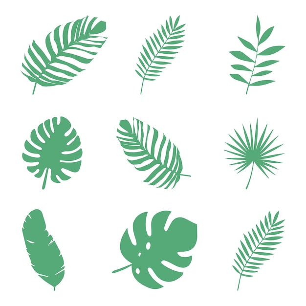 Vector set of twigs, natural plants