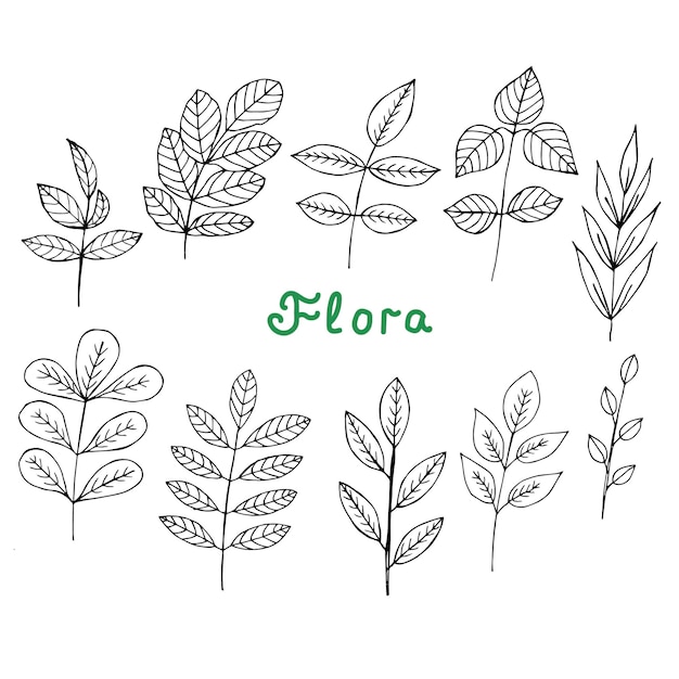 Set of twigs vector illustration hand drawing doodles