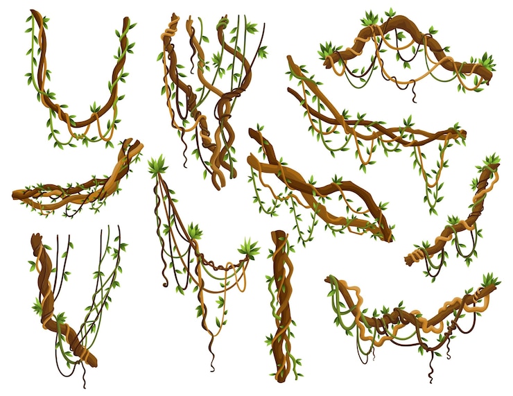 Vector set of twisted wild lianas branches jungle vine plants rainforest flora and exotic botany