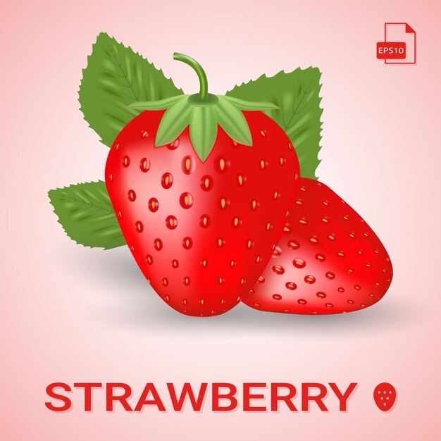 set of two fresh ripe strawberry with leaves