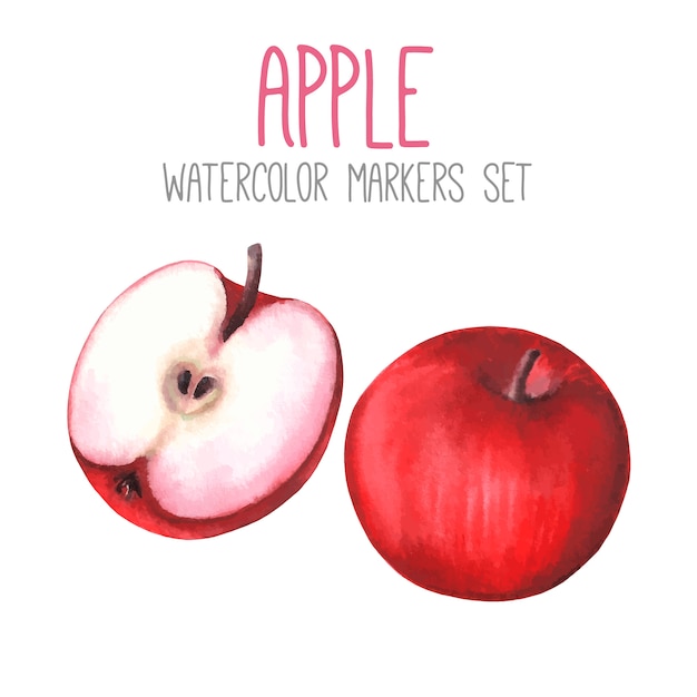 Vector set of two red watercolor apples