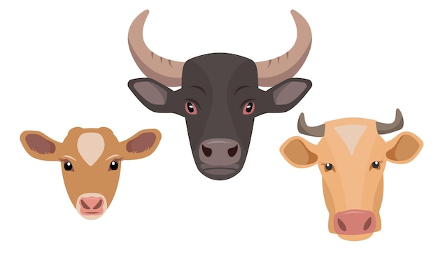 Set uitwerpselen van mannelijke en vrouwelijke boerderijdieren Iconen van koe, stier en kalf