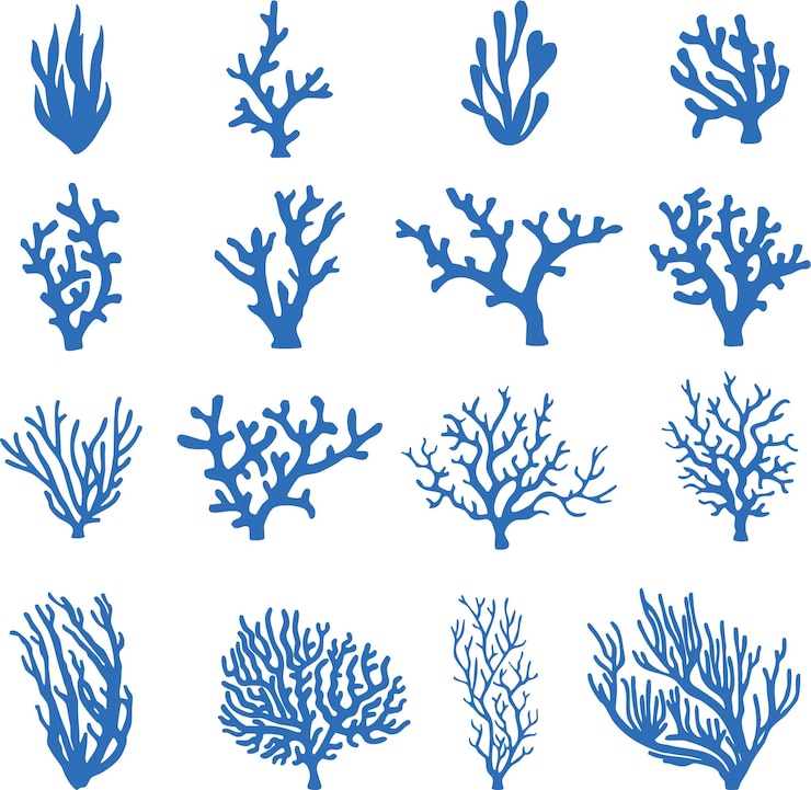 Vector set of underwater plants and corals