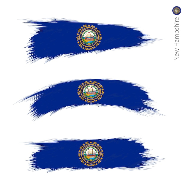 Set van 3 grunge getextureerde vlag van de Amerikaanse staat New Hampshire