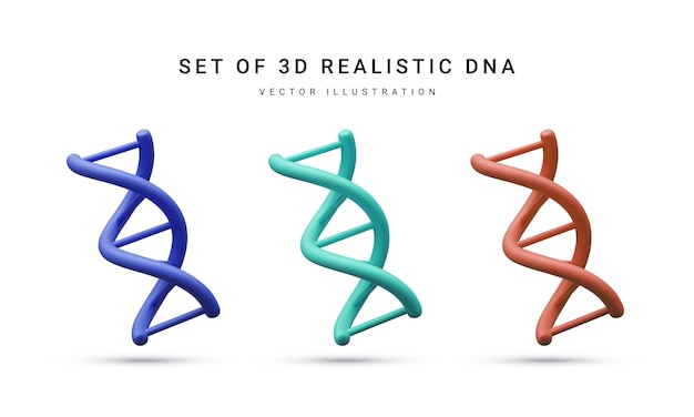 Set van 3D-realistische medische spiraal genetisch dna voor moleculaire chemie natuurkunde wetenschap biochemie in cartoon stijl geïsoleerd in witte achtergrond vectorillustratie