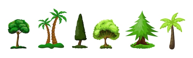 Set van 6 verschillende bomen op een witte achtergrond Vectorillustratie