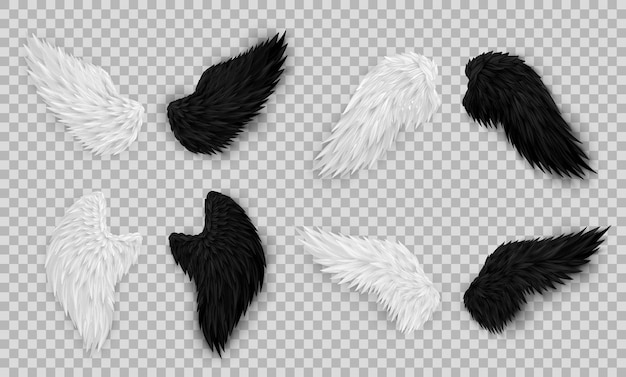 Set van 8 verschillende realistische vleugels op transparante achtergrond 3D witte engelenvleugels en demonenvleugels