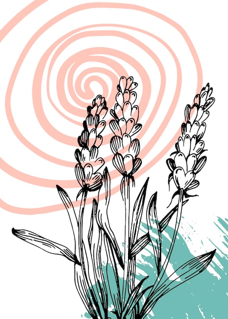 Set van abstracte lavendel handgeschilderde illustraties voor wanddecoratie minimalistische bloem in schets