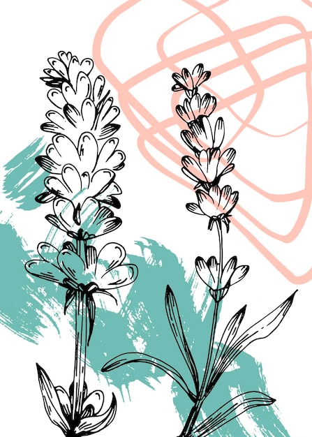 Set van abstracte lavendel handgeschilderde illustraties voor wanddecoratie, minimalistische bloem in schets