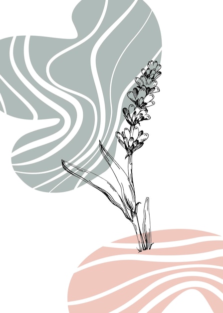 Vector set van abstracte lavendel handgeschilderde illustraties voor wanddecoratie, minimalistische bloem in schets