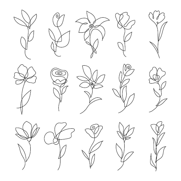 Vector set van abstracte lijn kunst bloem, gebladerte collectie met overzicht bloemen botanische bundel elementen.