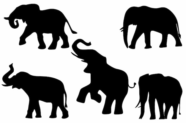 Vector set van afrikaanse olifant silhouetten, logo's, iconen,