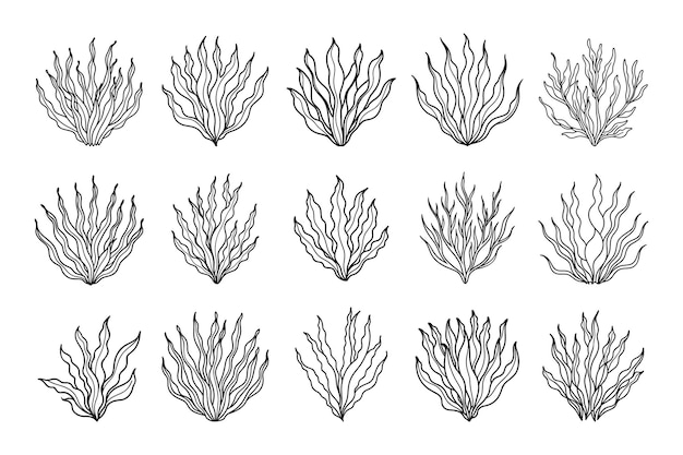 Vector set van algen of koraalriffen collectie van onderwaterplanten set van zeewier iconen sketch