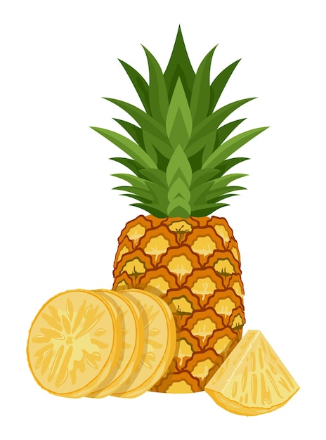 Vector set van ananas geïsoleerd op witte achtergrond laat vectorelement set van geheel in tweeën gesneden