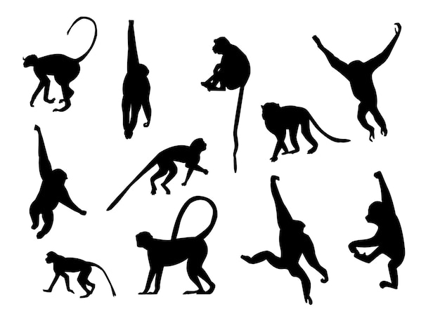Vector set van apen in vector aap silhouetten dierlijke schaduwen afrika