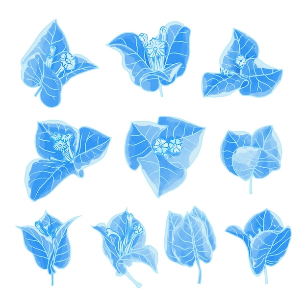 Set van aquarel bloem blauwe flora clipart