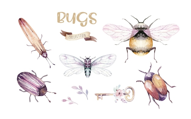 Set van aquarel heldere kevers bugs vliegen en bijen kleurrijke cartoon buttle en bug insect set