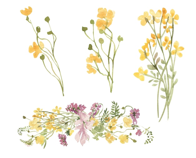 Vector set van aquarel wilde bloemen geïsoleerd op een witte achtergrond