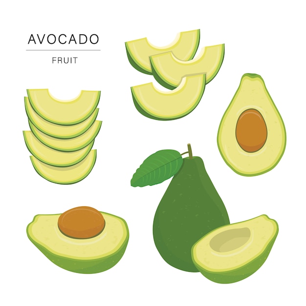 Vector set van avocado fruit segmenten. biologische en gezonde voeding geïsoleerde element illustratie.