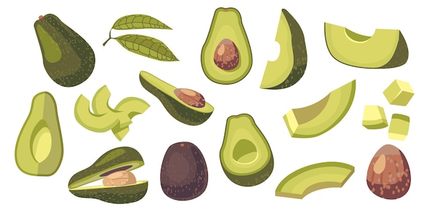 Set van avocado vegetarisch voedsel ingrediënt ontwerpelementen. vers fruit of groente hele, in blokjes gesneden of gesneden stukjes, groene bladeren en bruine pit geïsoleerd op een witte achtergrond. cartoon vectorillustratie