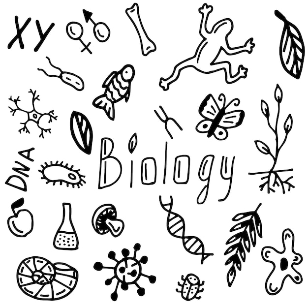 Set van biologie stijl doodle