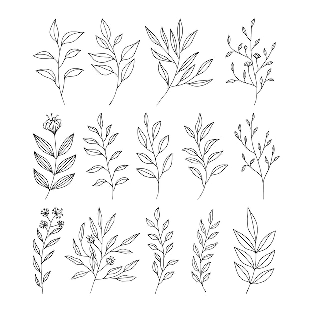 Set van bladeren lijn kunst illustratie vector