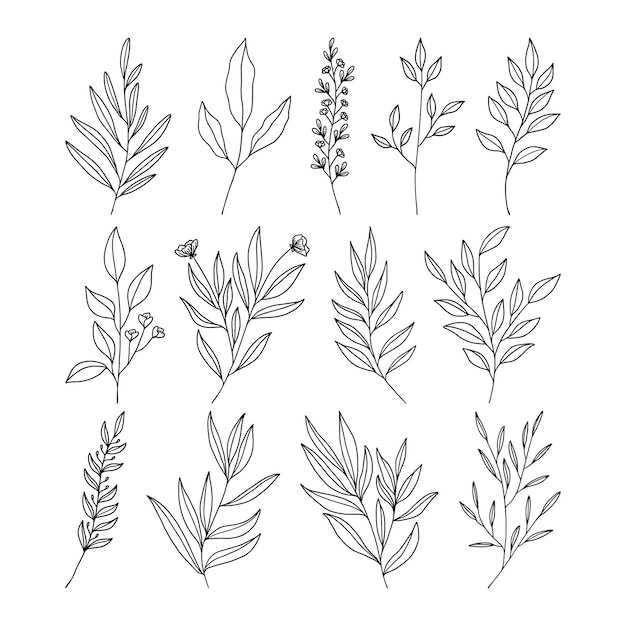 Set van bladeren lijn kunst illustratie vector
