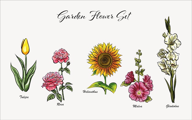 Set van bloemen vector illustraties bloementuin lente bloesem