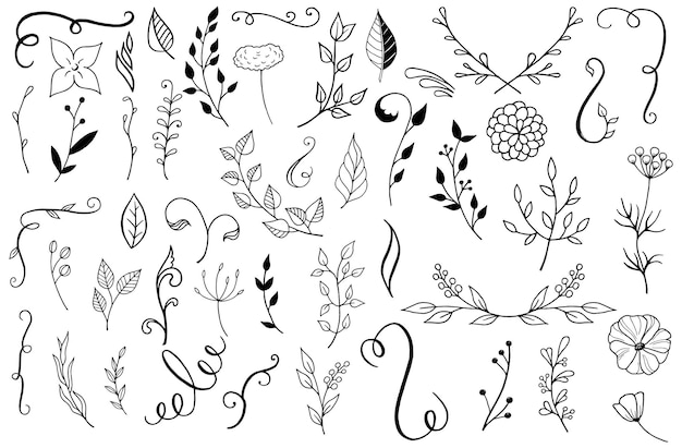 Vector set van bloemontwerpelementen bladeren vector illustratie