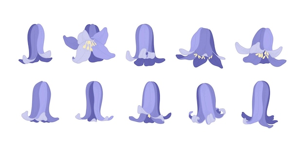 Set van bluebell bloeiende bloemen illustratie