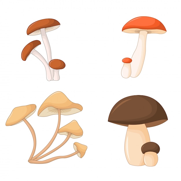 set van bos paddestoelen.