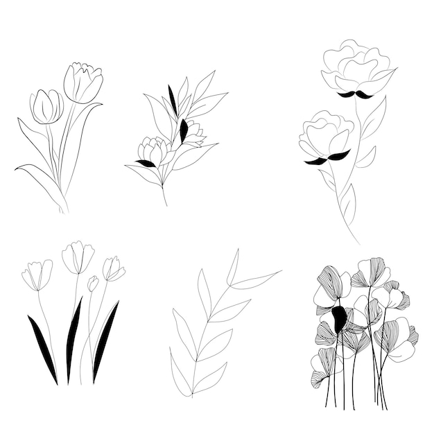 Vector set van botanische blad doodle wildflower lijntekeningen