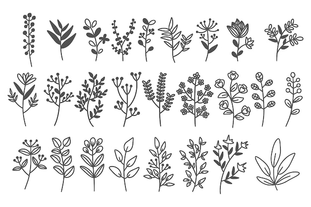 Set van botanische blad doodle wildflower lijntekeningen