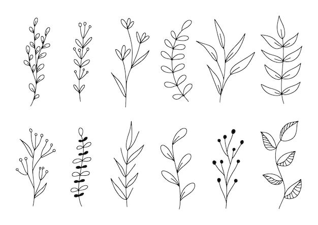 Set van botanische lijntekeningen bloemen bladeren planten Hand getrokken schets takken geïsoleerd op wit