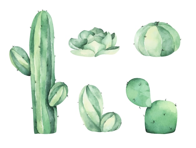 Set van cactus aquarel illustratie