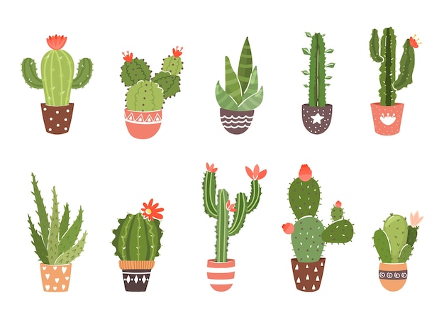 Vector set van cactus en vetplant in mooie pot