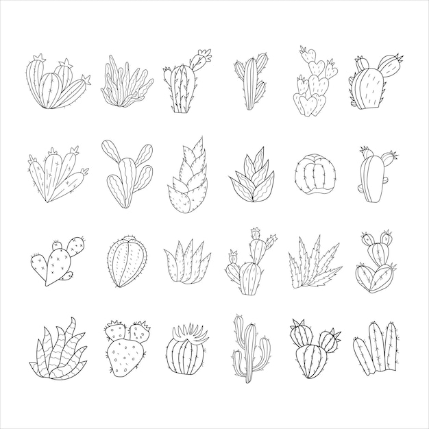 Set van cactus, Hand getrokken illustratie, doodle stijl lijntekening
