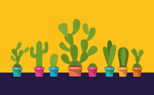 Set van cactus in pot