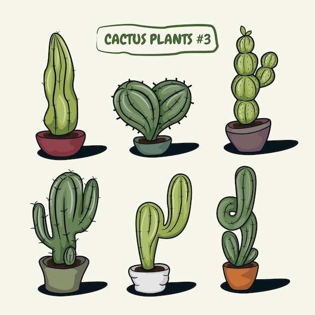 Set van cactus met potten