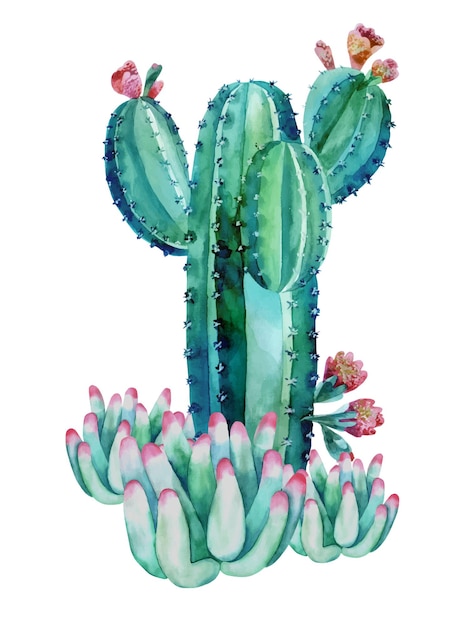 Set van cactussen samenstelling