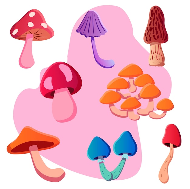 Set van champignons van verschillende soorten cartoon vectorillustratie