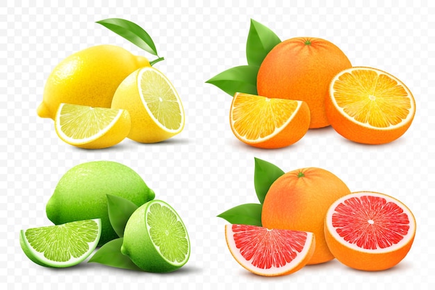 Set van citrus citroen mandarijn limoen sinaasappel grapefruit geheel gesneden helft en plakjes verse zure citrusvruchten met vitaminen realistische 3D-vectorillustratie geïsoleerd op witte achtergrond