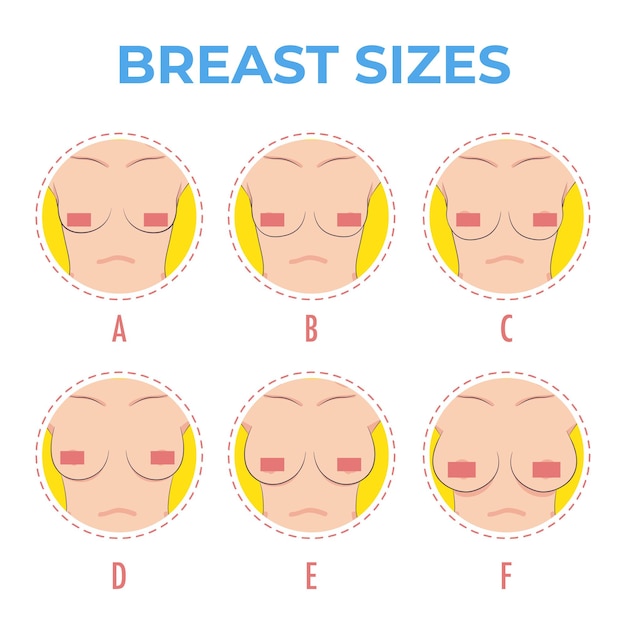 Set van contour ronde iconen van verschillende vrouwelijke borstomvang lichaam vooraanzicht verschillende borsten grootte