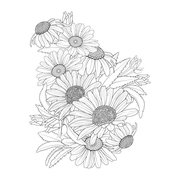 Set van daisy bloemboeket vector schets illustratie geïsoleerde afbeelding illustraties kleurplaat pagina volwassene.