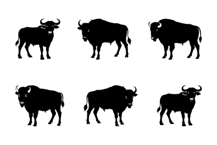 Vector set van de buffalo silhouette vector