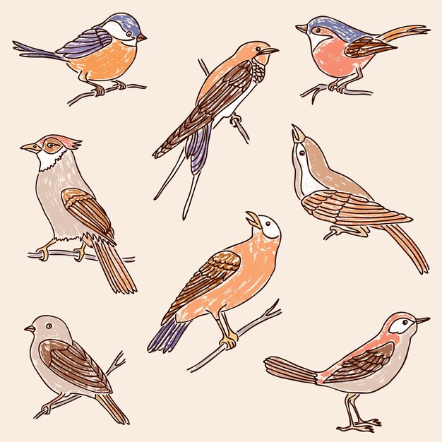 Vector set van de getekende wilde vogels