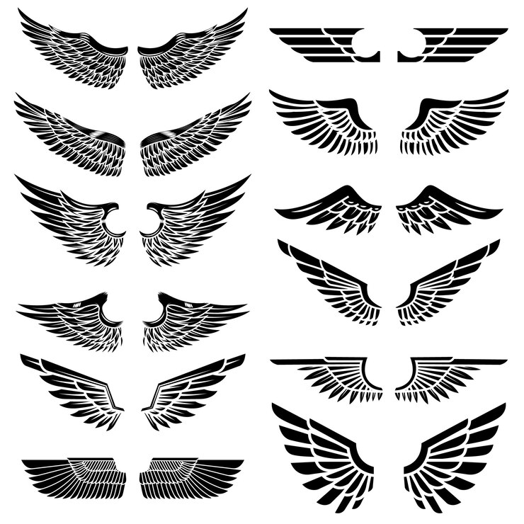 Set van de vleugels op witte achtergrond. elementen voor logo, label, embleem, teken, badge. illustratie