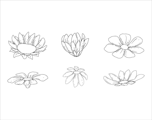 Set van doodle schets bloem illustraties op een witte achtergrond